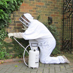 Expert Pest Control Essex